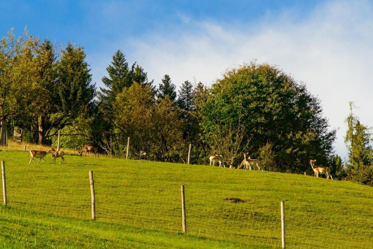 Schrahlehen Wagrain Exterior foto